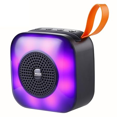 Woos WS-065 Wireless Disco Speaker